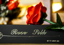 article de magie Rose Silk