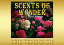 tour de magie : Scents of Wonder