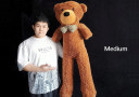 tour de magie : Appearing Teddy Bear (Medium)