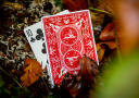 Bonfires Red (includes Card Magic Course)