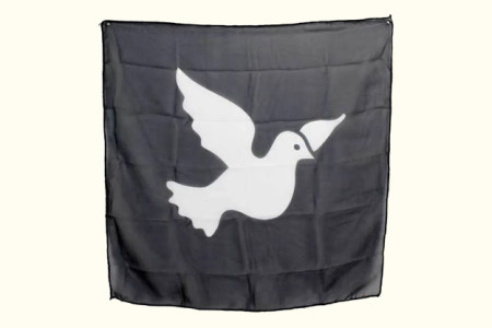 Dove Black Silk 18 Inch 