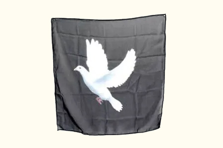 Cartoon Dove Silk 18 inch