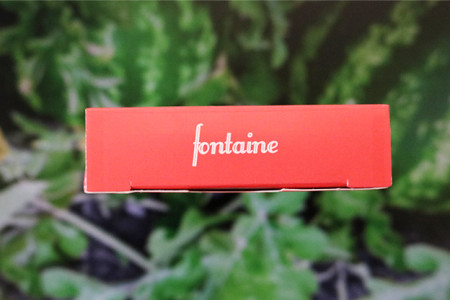 Fontaine: Watermelon Playing Cards