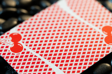 Limited Bee X Cherry (Red) Playing Cards