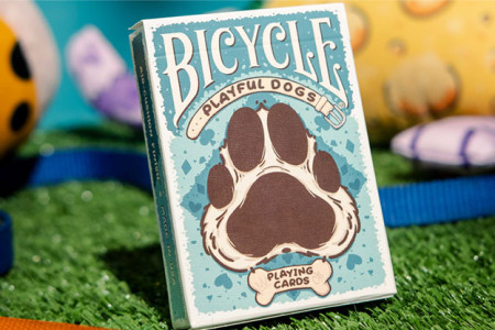 Jeu Bicycle Playful Dog