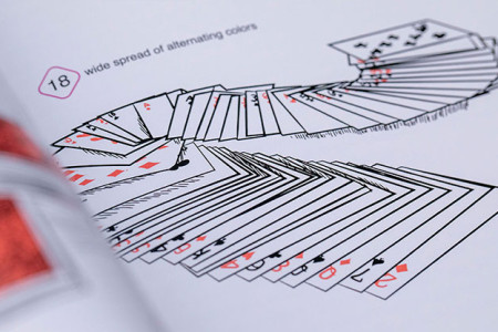 Symmetry, Parity and the Chimera Deck