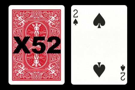 Forcing Bicycle Deck (2 of Spades)