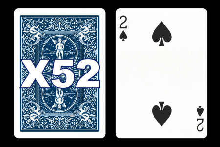 Forcing Bicycle Deck (2 of Spades)